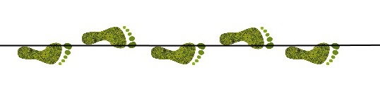 lineapies.jpg